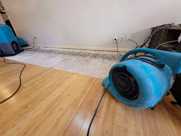 Professional Sewage Cleanup technician working in Saint David, AZ